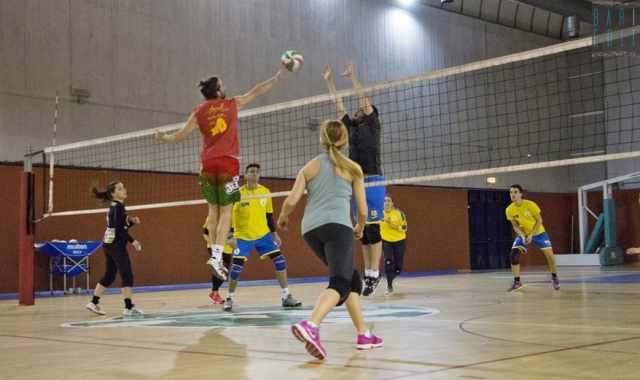 La pallavolo amatoriale: Ragazzi e ragazze insieme per uno sport da ''comitiva''